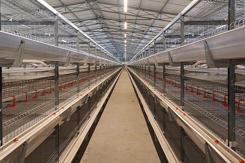 Controle climático para galpão avícola